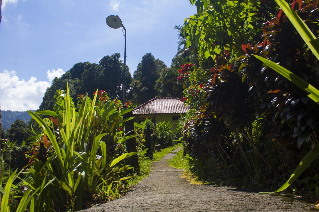 Aryautama Garden Villa Munduk Extérieur photo