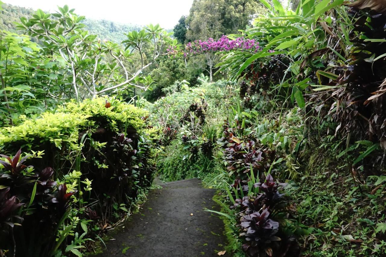 Aryautama Garden Villa Munduk Extérieur photo