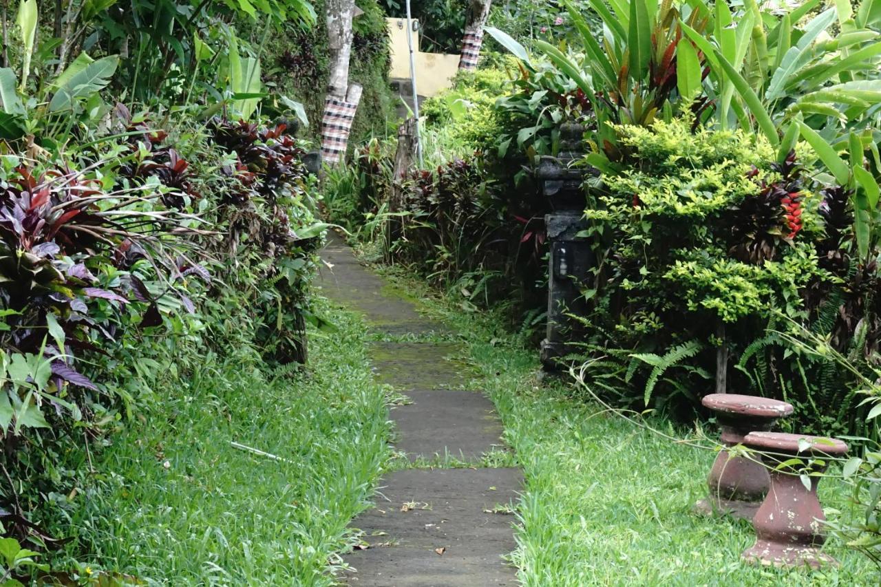 Aryautama Garden Villa Munduk Extérieur photo